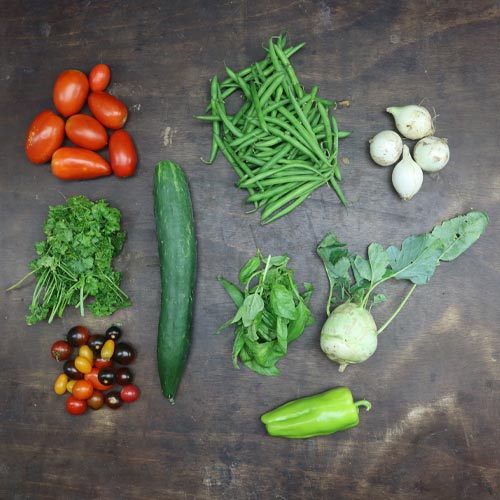 2023-csa-week-15-share