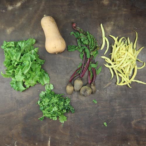 2025-csa-week-20-share