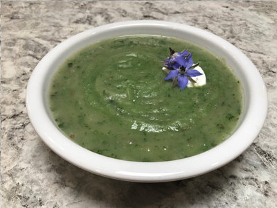 borage-soup