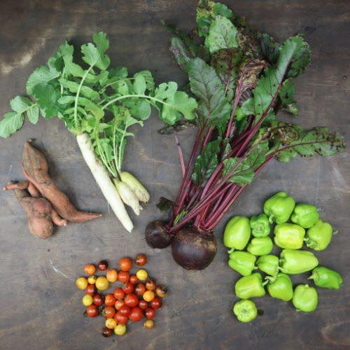 2022-csa-week-3-share