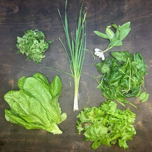 2022-csa-week-3-share