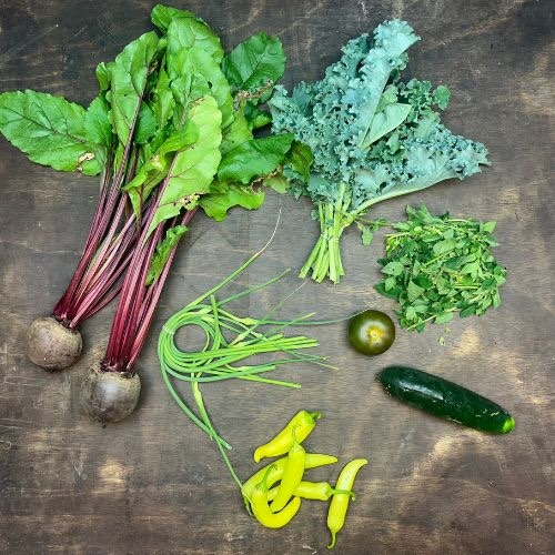 2022-csa-week-3-share