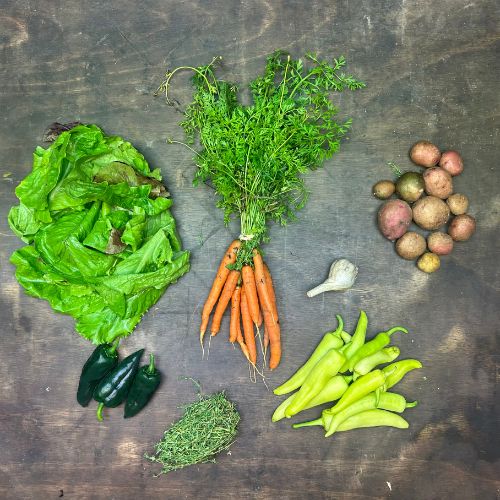 2022-csa-week-3-share