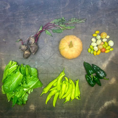 2026-csa-week-20-share