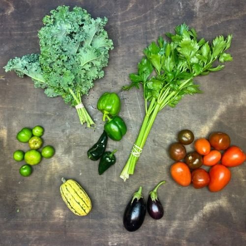 2026-csa-week-24-share