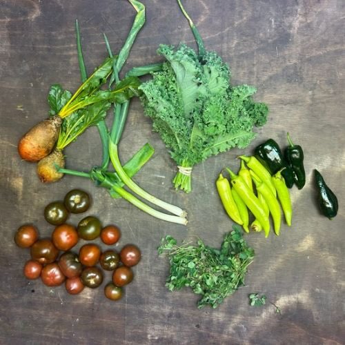 2026-csa-week-26-share