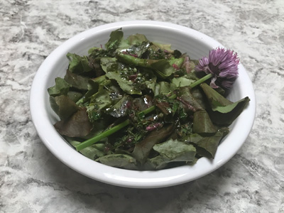 oakleaf-salad-with-savory-herb-vinaigrette